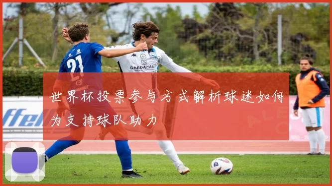 世界杯投票参与方式解析球迷如何为支持球队助力