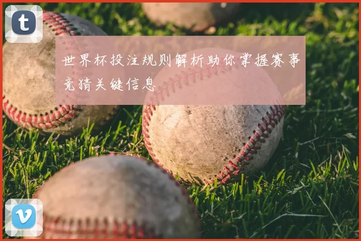 世界杯投注规则解析助你掌握赛事竞猜关键信息