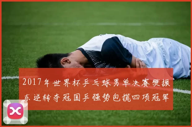 2017年世界杯乒乓球男单决赛樊振东逆转夺冠国乒强势包揽四项冠军
