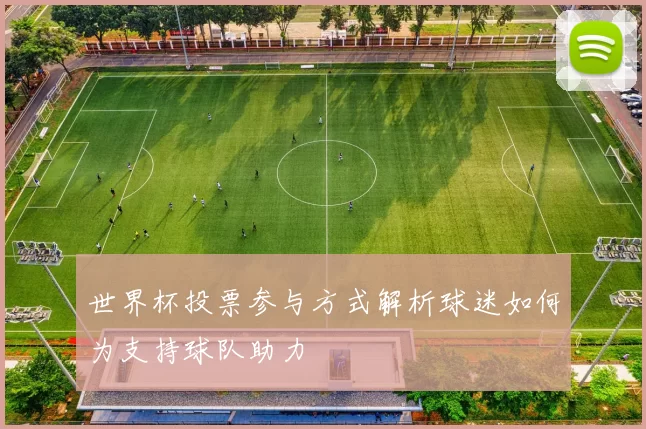 世界杯投票参与方式解析球迷如何为支持球队助力