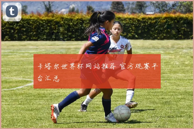 卡塔尔世界杯网站推荐 官方观赛平台汇总